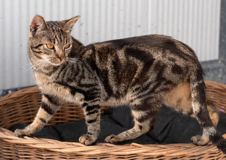 Zdjęcie konta na koszyku